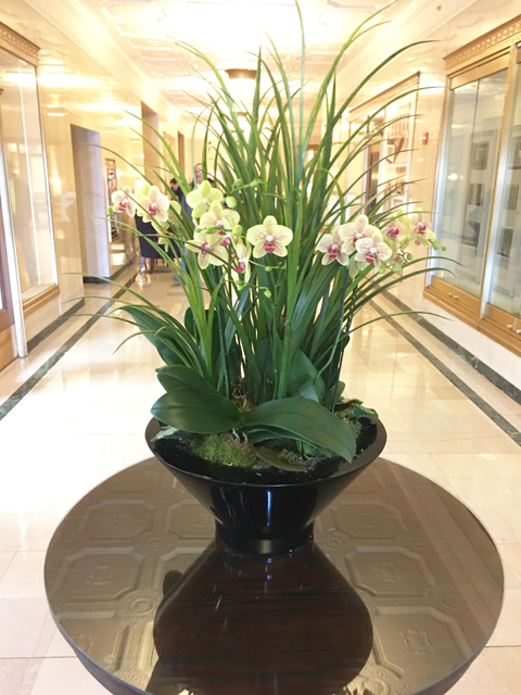 Website Blooming Orchid Arrangement With Green Grasses And Accents At Base Copy