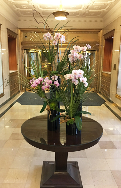 Website Blooming Orchid Arrangement With Kiwi Vine Succulents Decorative Wood And Accents In Various Tall Black Glass Cylinders With Cut Palm Fronds Copy