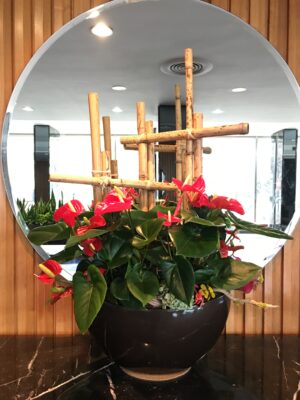 Anthurium Arrangement with bamboo and accents at base