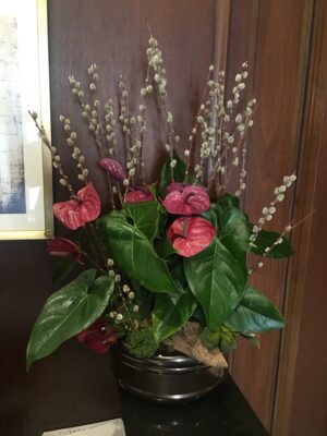 Anthurium Arrangement with pussy willow branches and accents at base