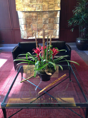 Bromeliad-Arrangement-Trio-in-Tapered-Cylinder-with-Bamboo