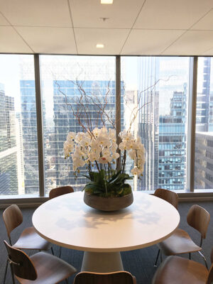 Orchid-Arrangement-Extra-Large-white-with-curly-willow-branches.IMG_6108