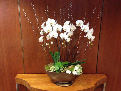Website-Blooming-Orchid-Arrangement-Large-D