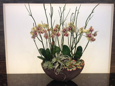 Website-Blooming-Orchid-Arrangement-Large-G