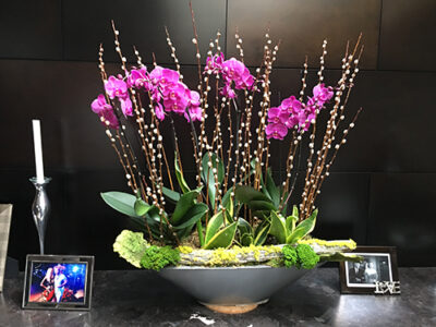 Website-Blooming-Orchid-Arrangement-Large-pussy-willow-and-log-with-lichen-purple-orchids