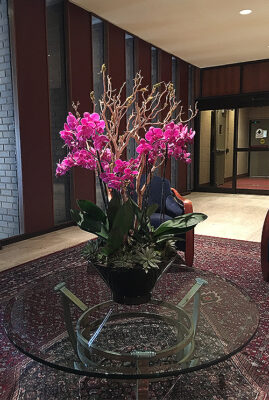 Website-Blooming-Orchid-Arrangement-Purple-with-Manzanita-Branches-and-Succulents