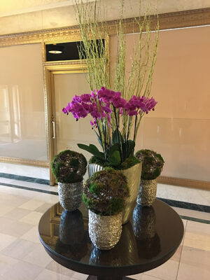 Website-Blooming-Orchid-Arrangement-Purple-with-moss-coated-birch-branches-a-grouping-of-moss-coated-birch-brach-spheres