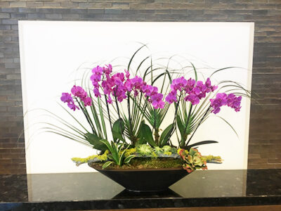 Website-Blooming-Orchid-Arrangement-with-cut-palms-fronds-moss-covered-log-at-base-with-succulents
