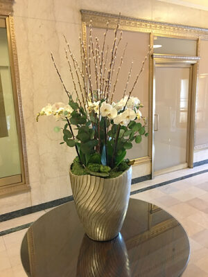 Website-Blooming-Orchid-Arrangement-with-eucalyptus-pussy-willow-branches-moss-and-accents-at-base
