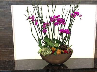Website-Blooming-Orchid-Centerpiece-Spring-Summer-Green-Mitsumata-Branches